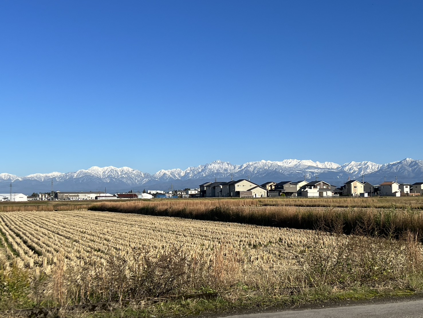 雪をいただく立山連峰と富山の田園